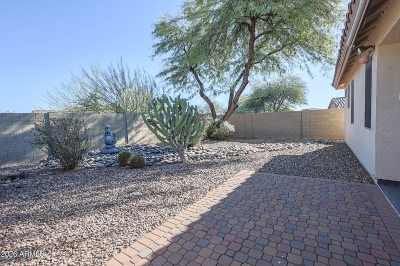 Backyard 2