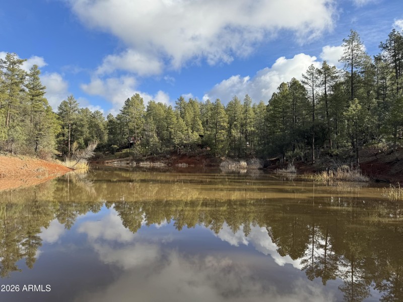 Strawberry Pond View 2