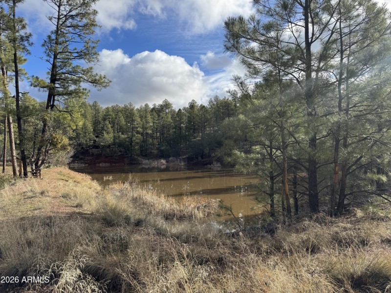 Strawberry Pond View 1