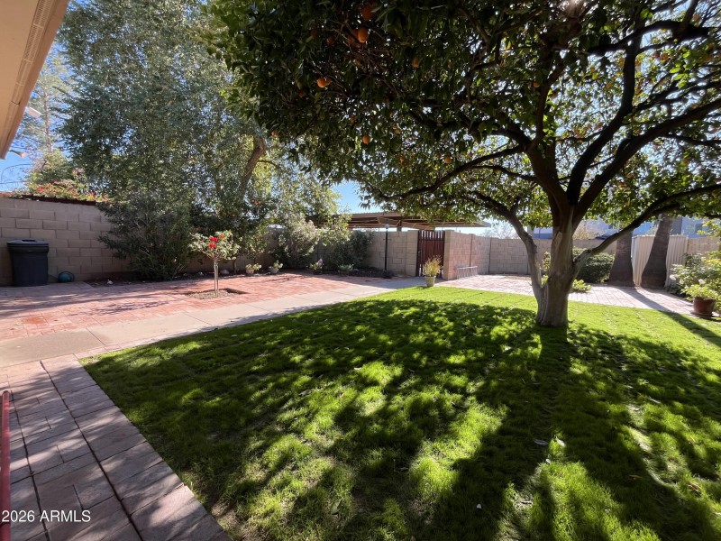 Photo Jan 09 2026, 12 23 34 PM