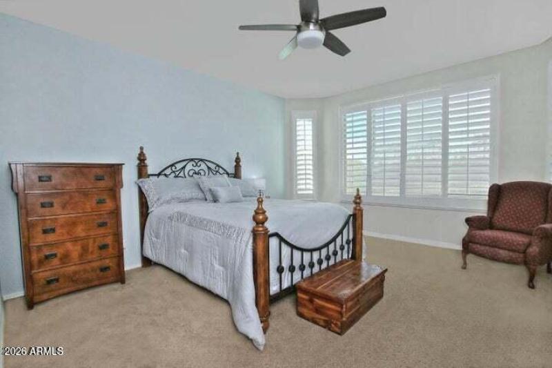 Primary Plantation shutters