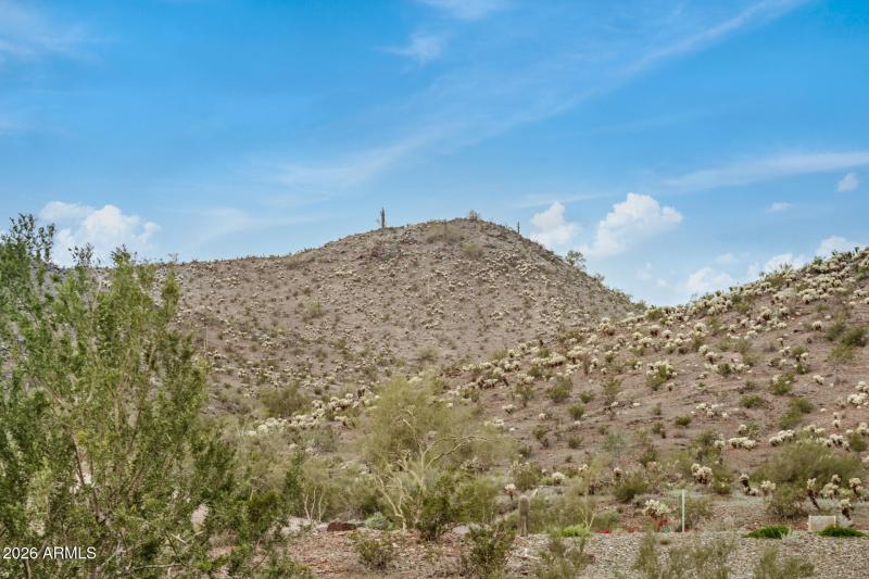 Mountains Everywhere - Copy