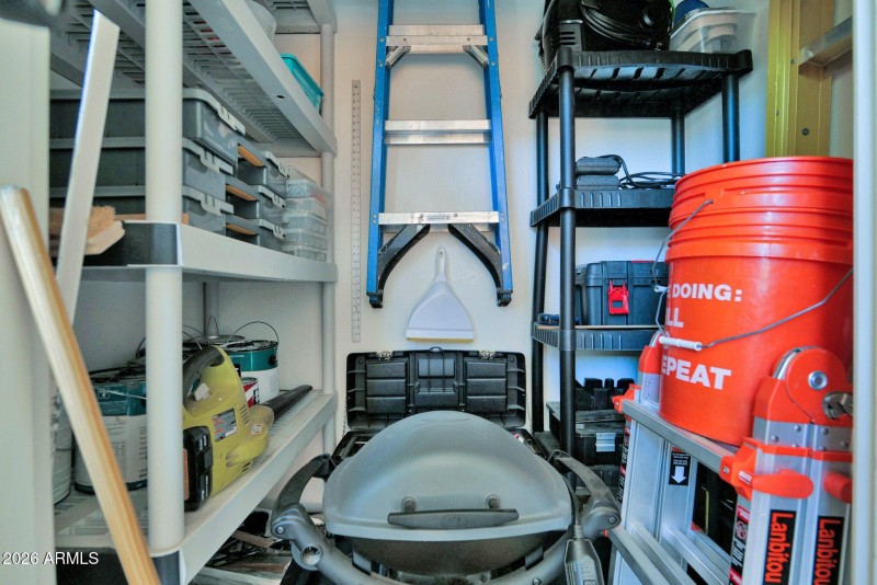 27-web-or-mls-P1245691