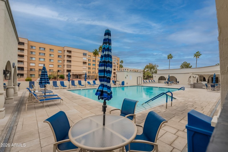 50-print-Camelback-50