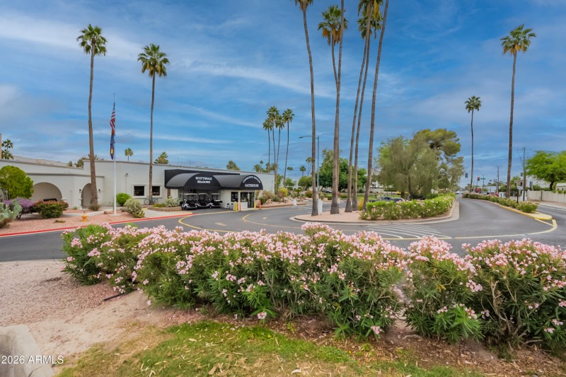 52-print-Camelback-52