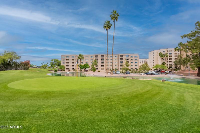 53-print-Camelback-53