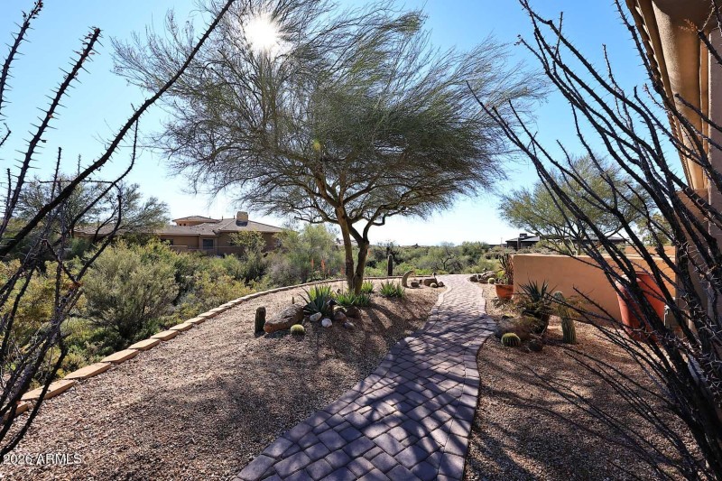 Side Yard