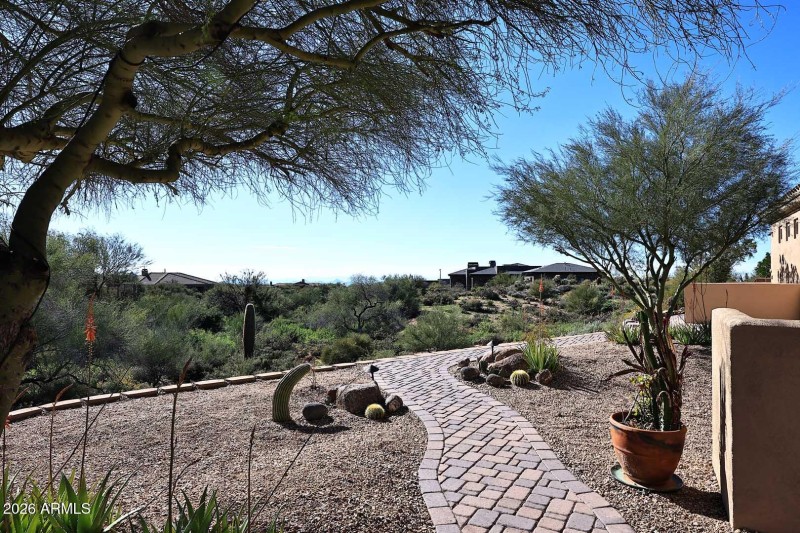 Side Yard