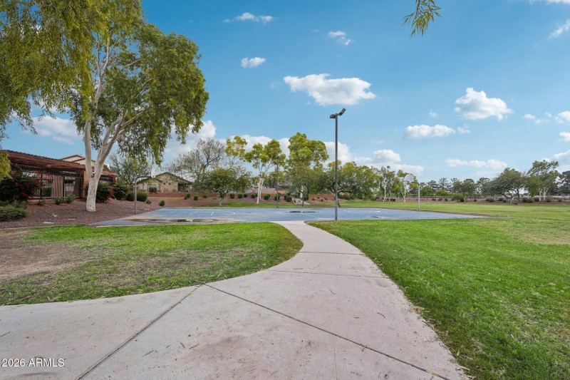 Basketball Court