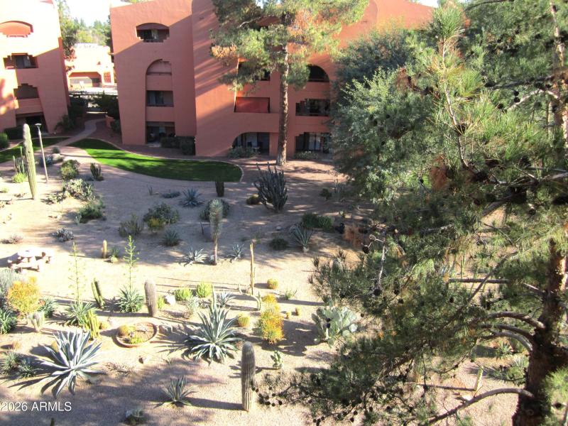 10 423 CACTUS GARDEN