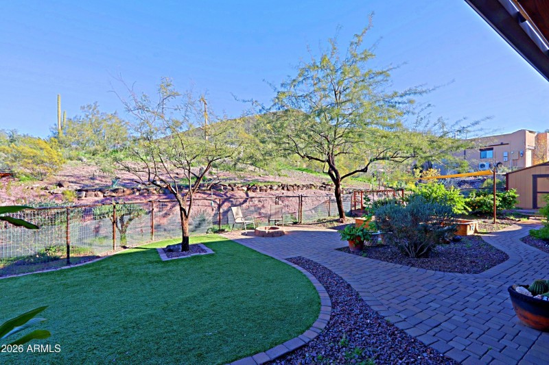 Backyard 2