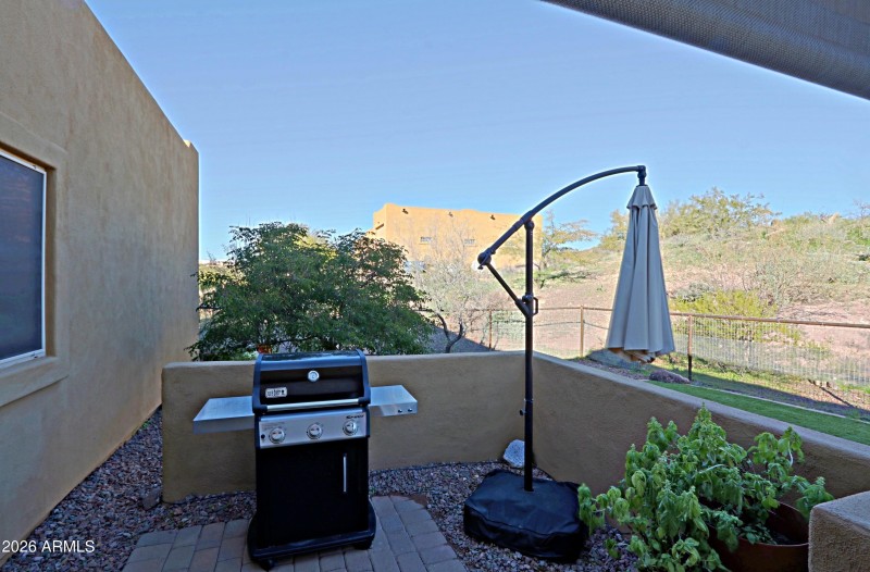 Backyard 3