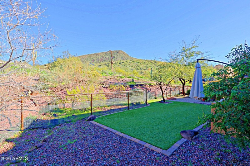 Backyard 4
