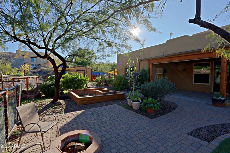 Backyard 7