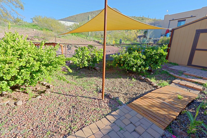 Backyard 11