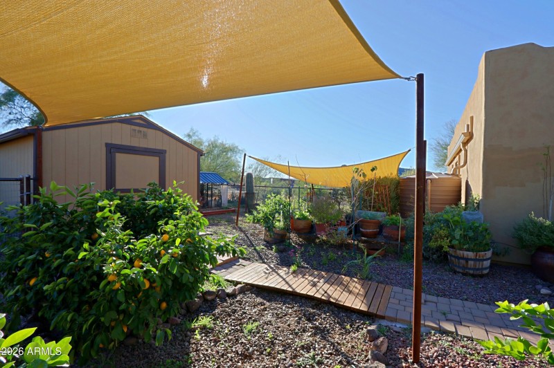 Backyard 12
