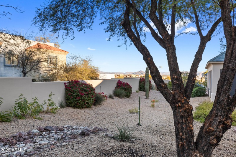 Back of home/Mountain Views