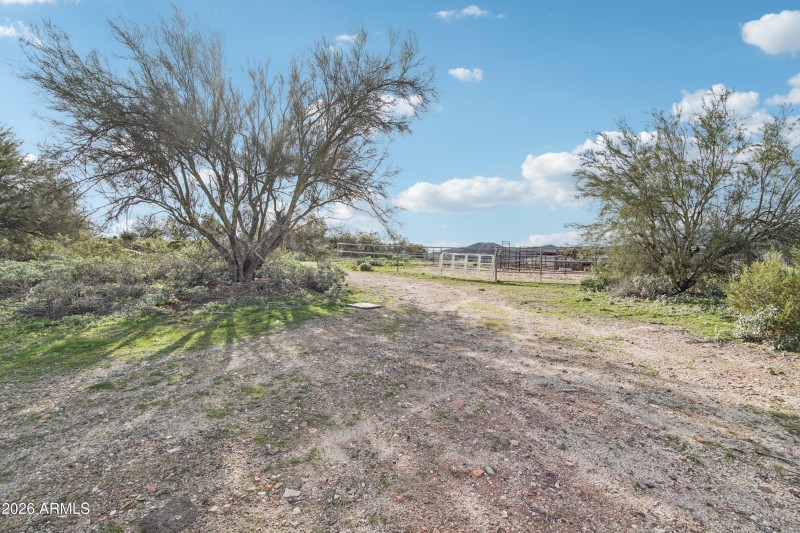 36-print-S April Dr-S0601-036