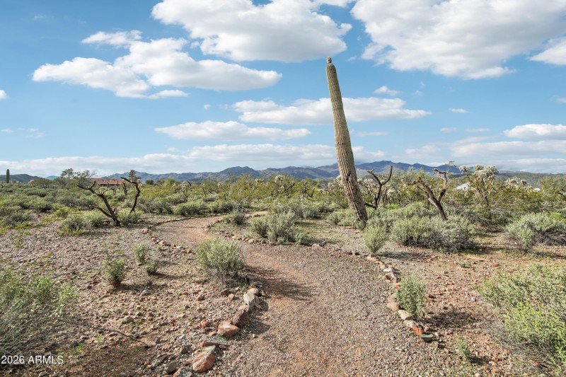 49-print-S April Dr-0601-907