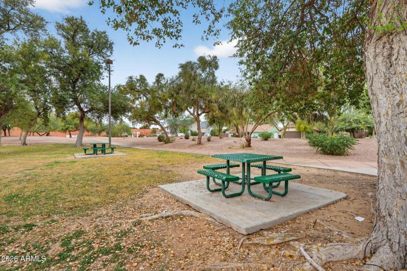 Mountain View Park-5