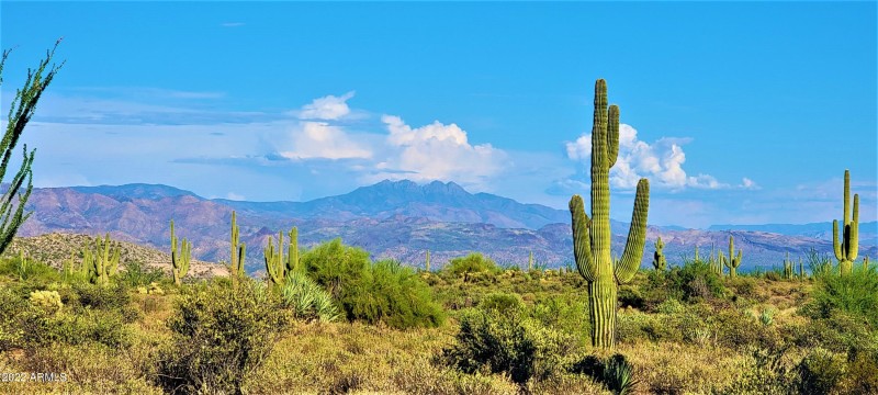 Mt. views in every direction!