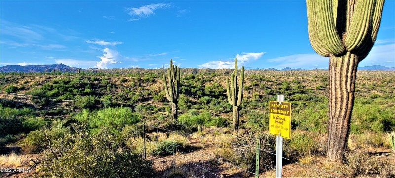3.5 million acre Tonto National Forest