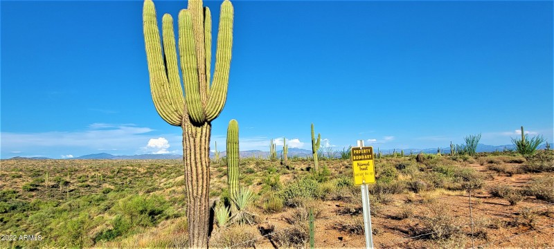 Borders National Forest