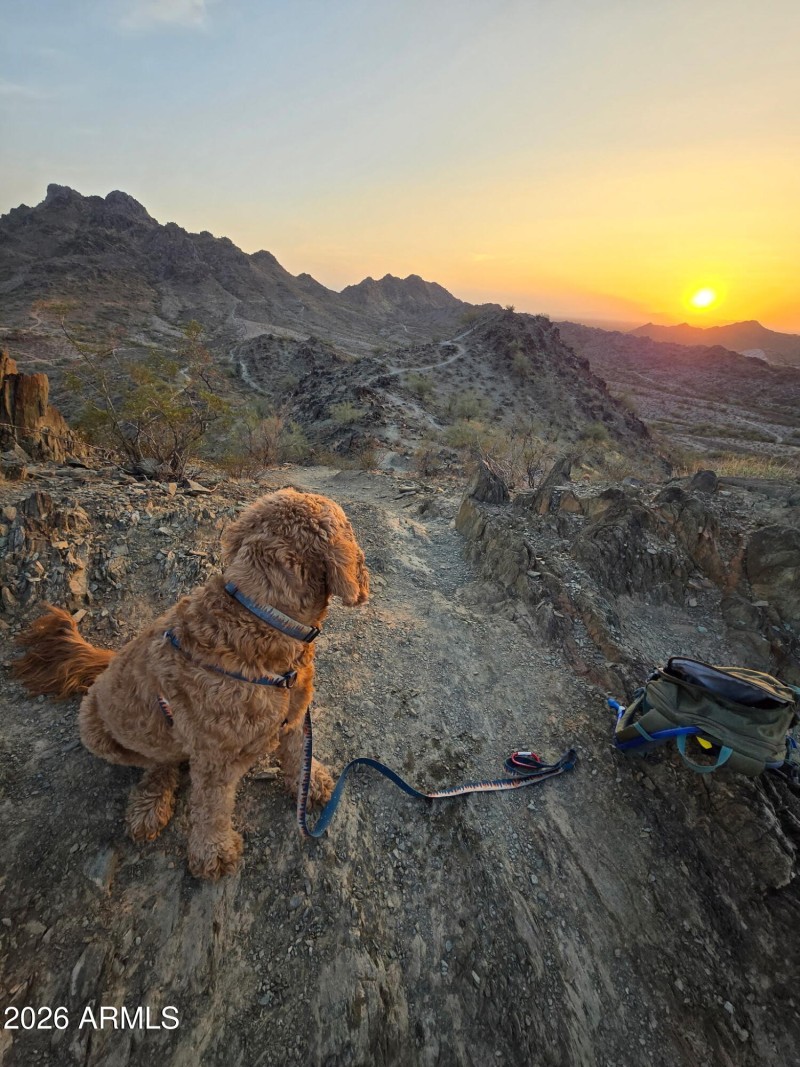 Hike right from your house