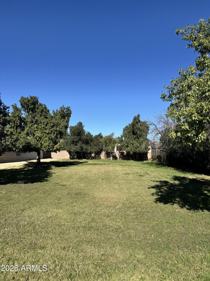Community grass play area