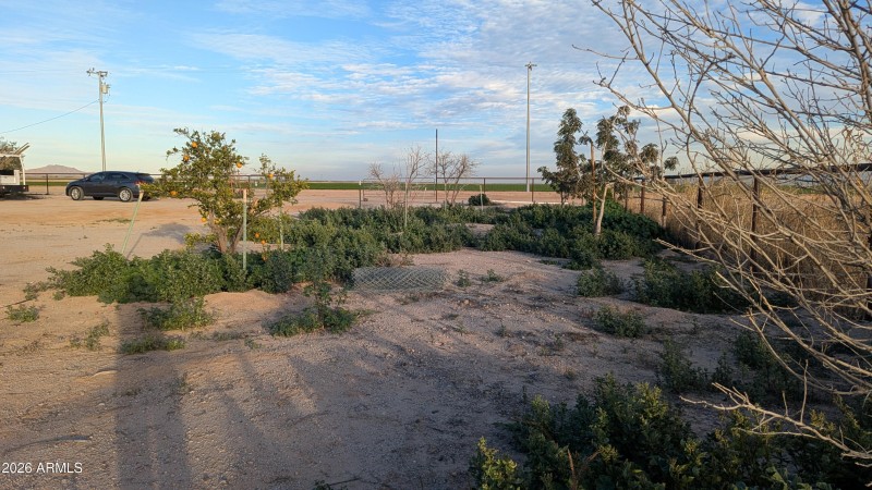 PXL_20260106_234803287