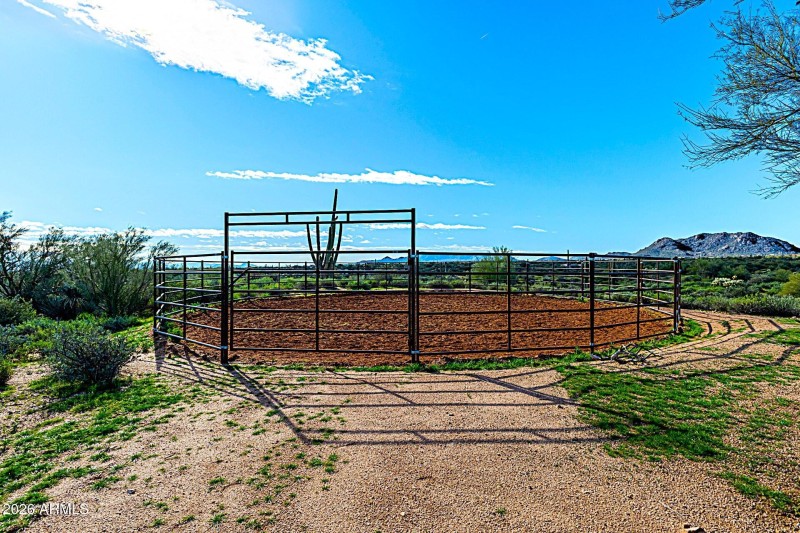 50' round pen