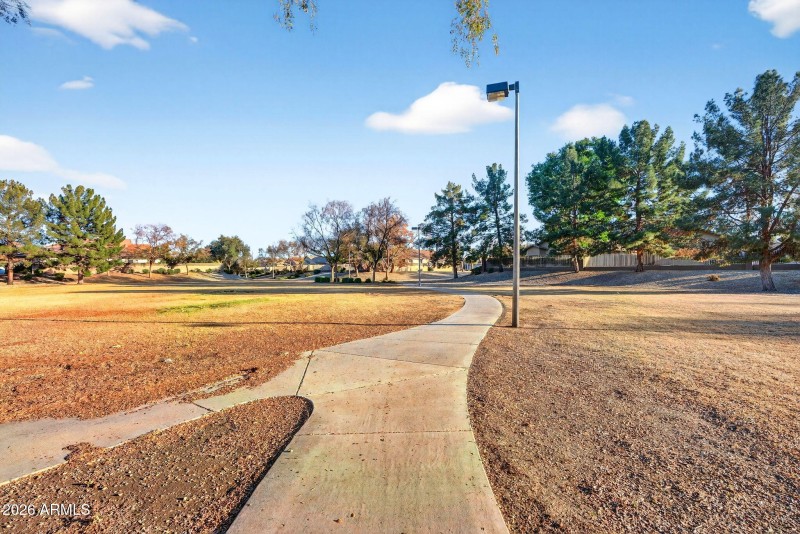 91-web-or-mls-DSC00563