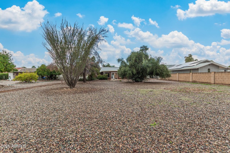 36 Palo Verde