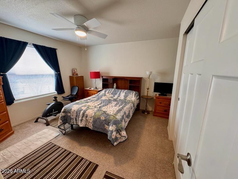 IMG_3146_1768190275910