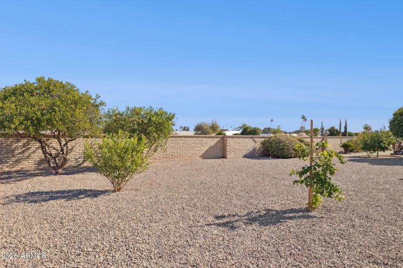 Newly Landscaped Backyard