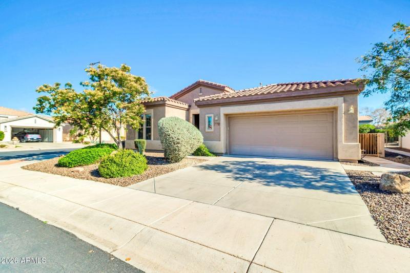 5333 S Marigold Way-2