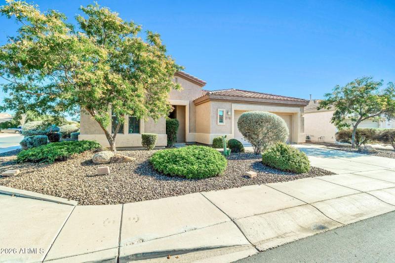 5333 S Marigold Way-3