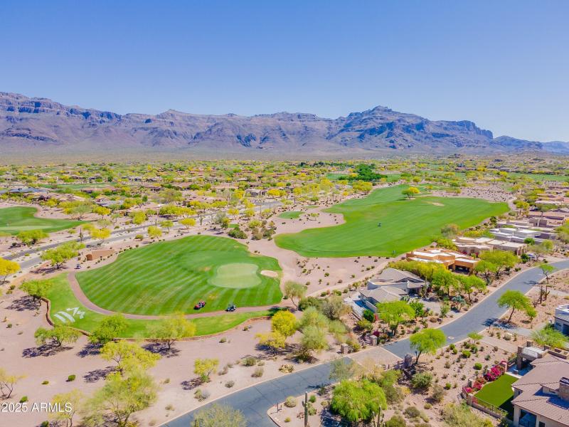 13-print-Hawthorn-13