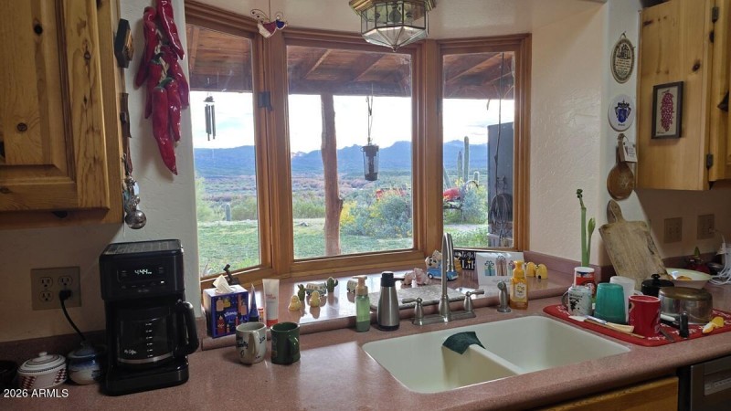 Kitchen Garden Window