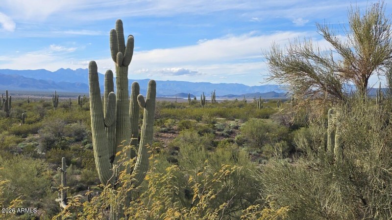 View to the West from Deck