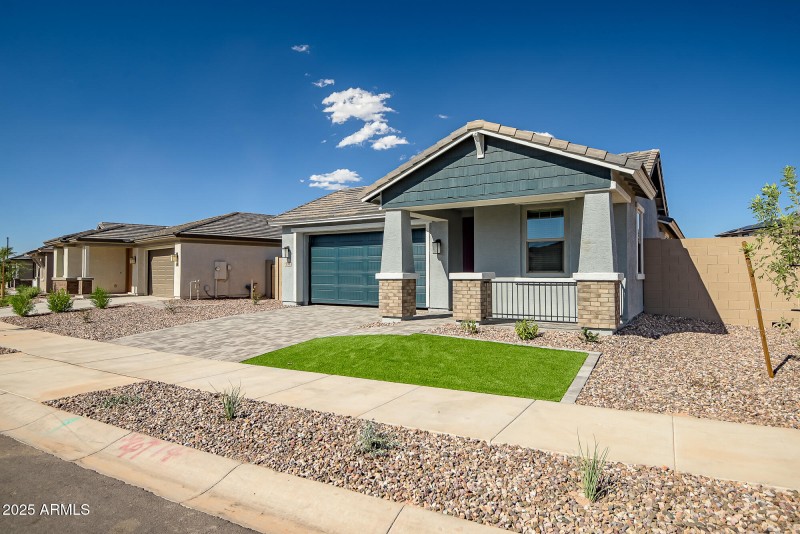 Mesquite Lot 188 - Large (32)