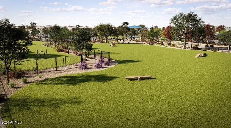Dog Park