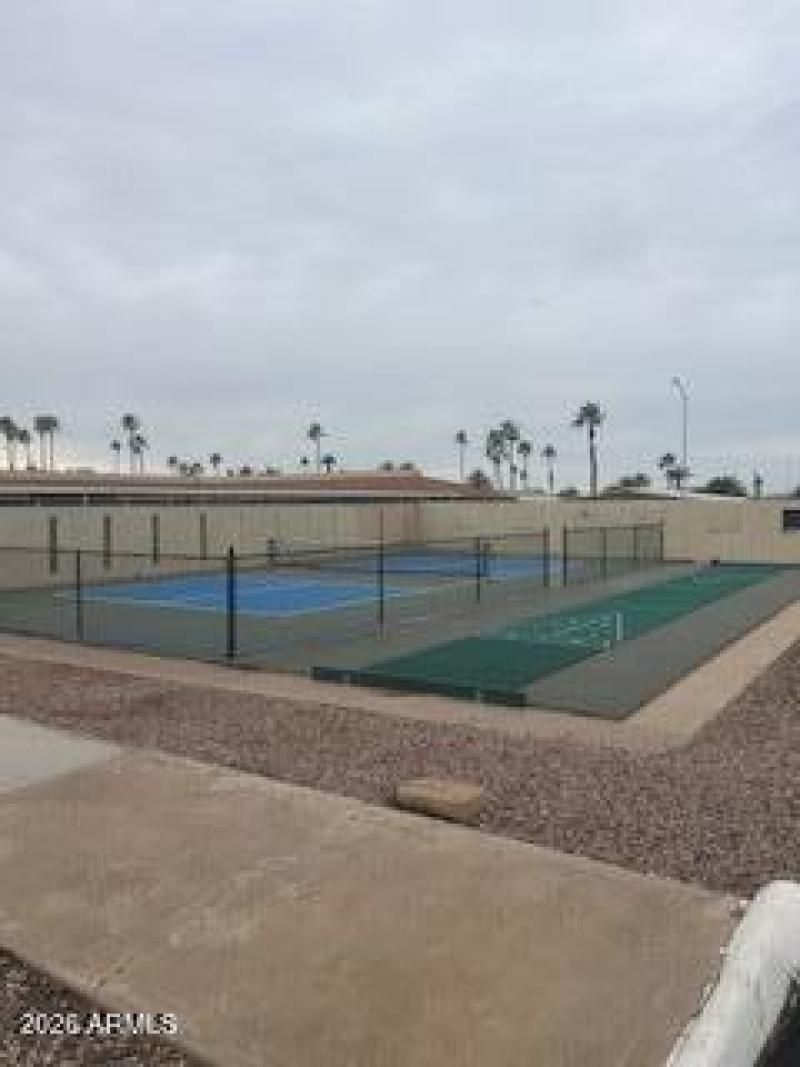 Pickleball Court