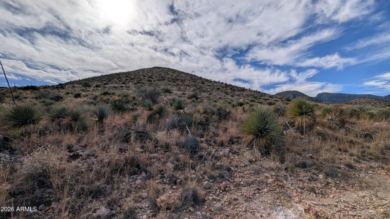 PXL_20260111_191119462