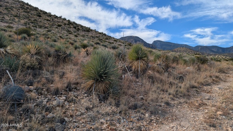 PXL_20260111_191129738