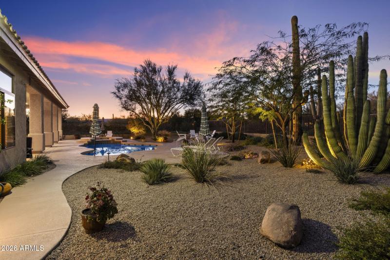 Backyard at Twilight