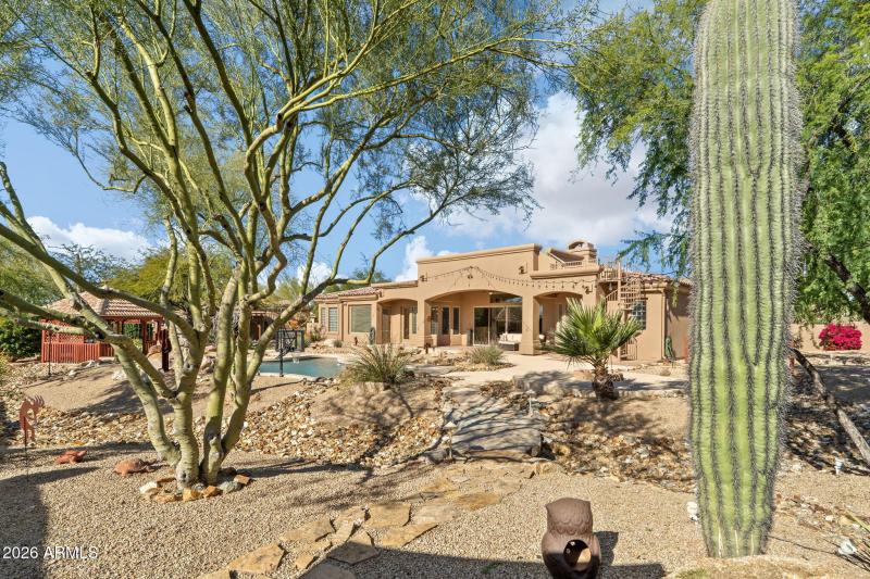 Mature desert landscaping