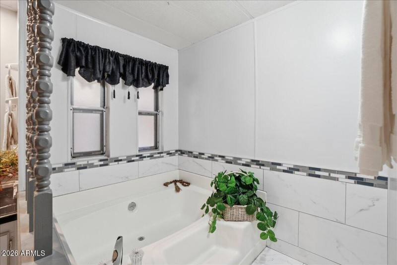 Master Tub