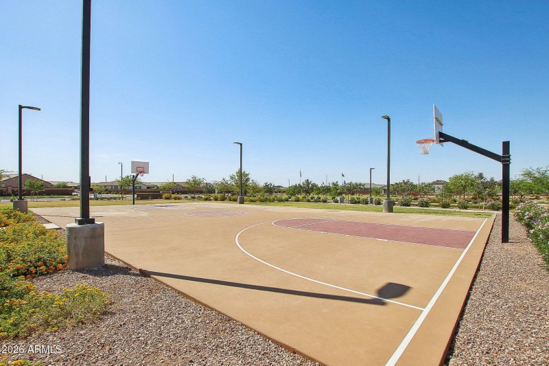 Basketball Court