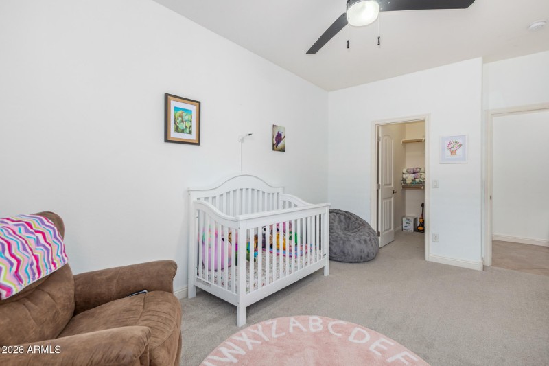 30 - Eucalyptus 1317